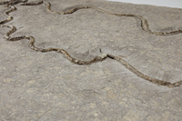 F 01453
<br/>
<br/>
<em></em>